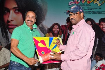 Maanja Movie Audio Launch